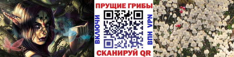 Галлюциногенные грибы Magic Shrooms  ссылка на мегу   Невель 